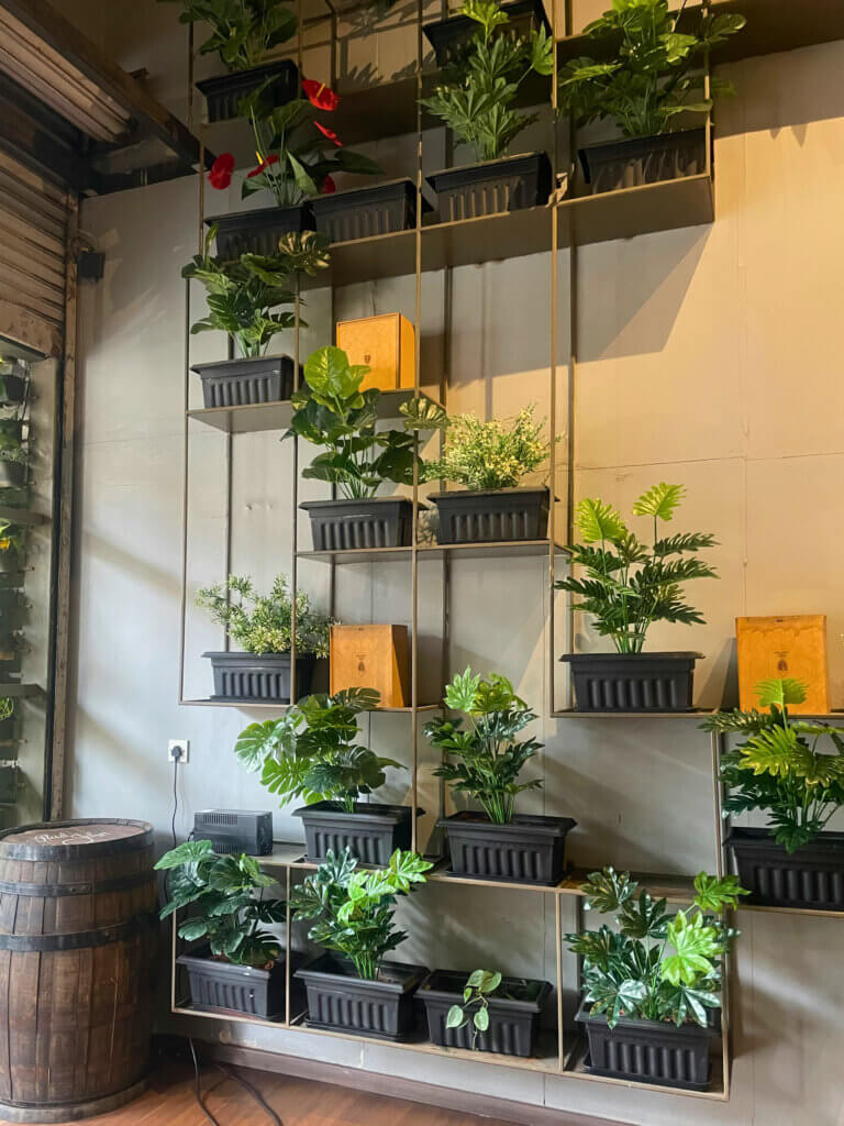 A statement wall covered in plants