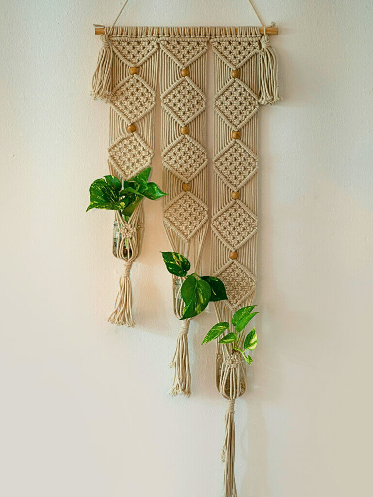 Three small plants wall mounted in a macramé hanger