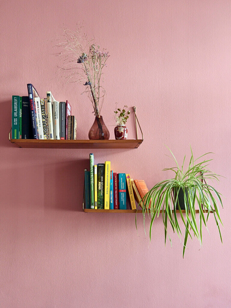 A Spider Plant displayed on a high shelf with books. 