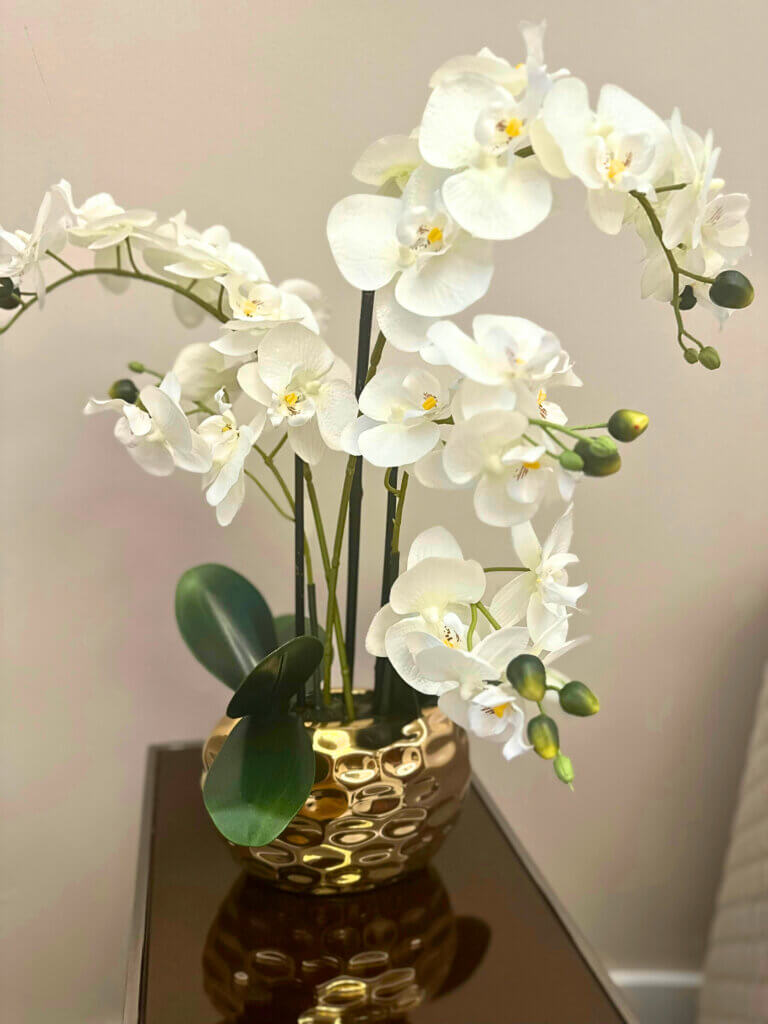 An orchid in a decorative pot, showcasing how orchids can be displayed. 
