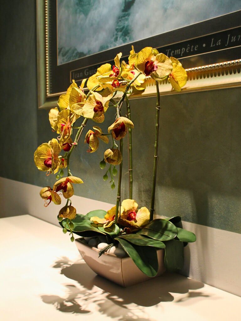 An orchid in a decorative pot, showcasing how orchids can be displayed. 